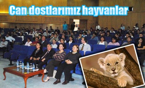 Can dostlarımız hayvanlar