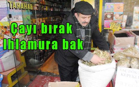Çayı bırak Ihlamura bak