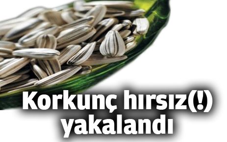 Çekirdek hırsızı  