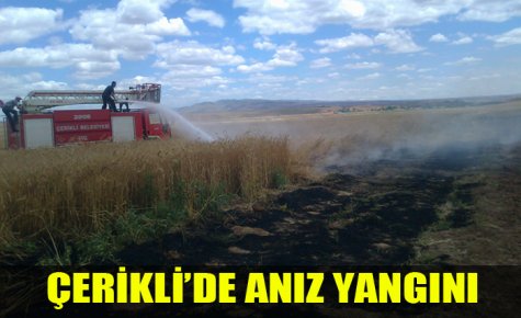 ÇERİKLİ?DE ANIZ YANGINI