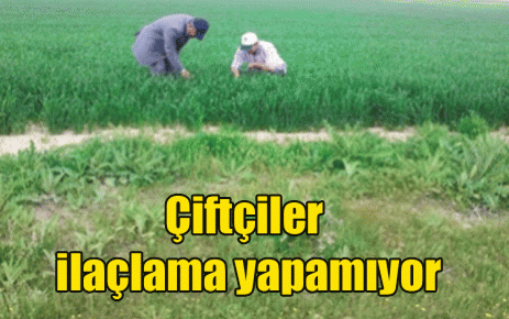 Çiftçiler ilaçlama yapamıyor