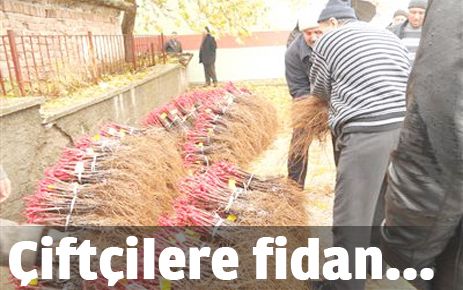 Çiftçilere Alphonse Lavalle fidanı