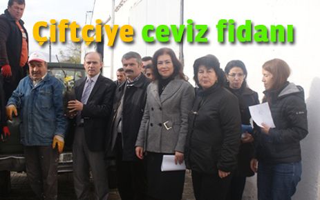 Çiftçilere ceviz fidanı dağıtıldı