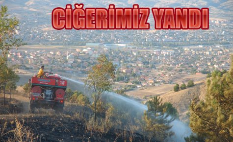 CİĞERİMİZ YANDI