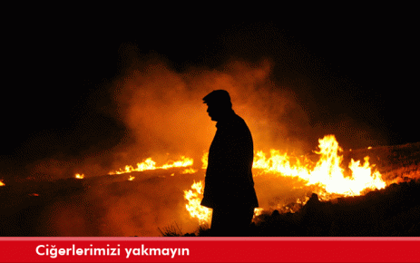 Ciğerlerimizi yakmayın 
