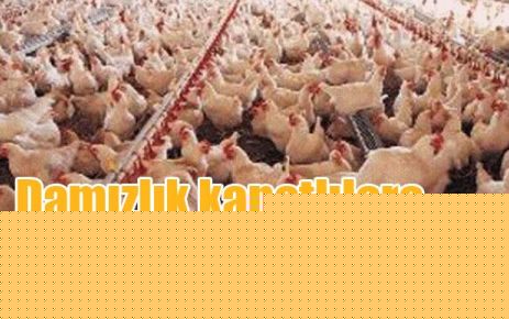 Damızlık kanatlılara sıkı denetim