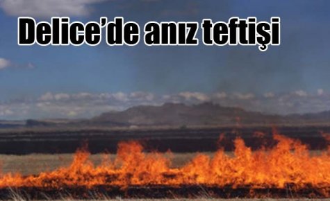 Delice?de anız teftişi 