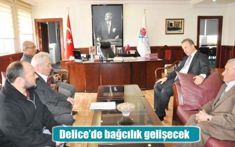 Delice?de bağcılık gelişecek