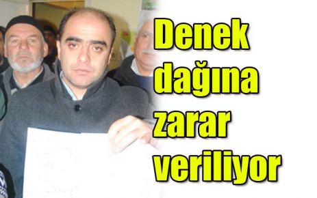 Denek dağına zarar veriliyor