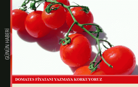 Domatesin fiyat artışı bu haftada sürdü