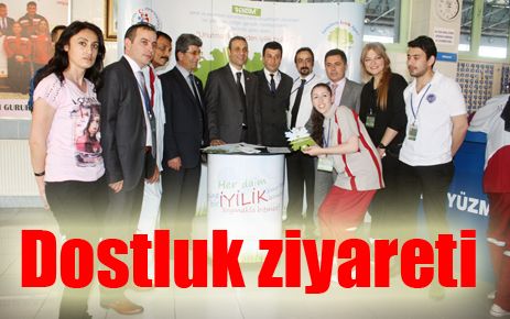 Dostluk ziyareti
