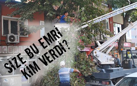 Elleriniz kırılsın