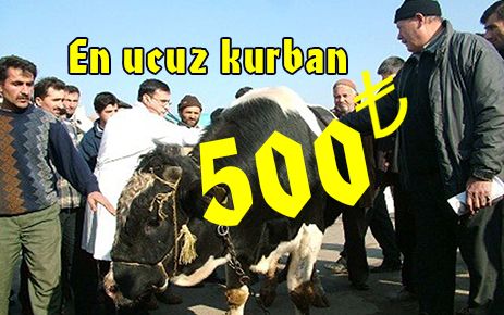 En ucuz kurban ?500 TL?