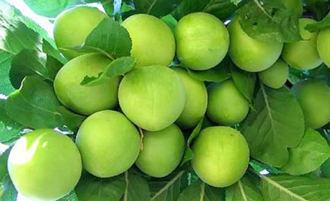 ERİĞİN KİLOSU NİHAYET DÜŞTÜ