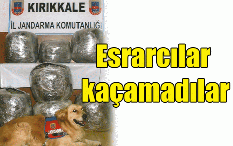 Esrarcılar kaçamadılar