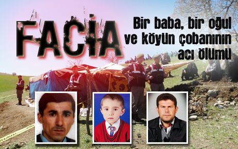 Facia
