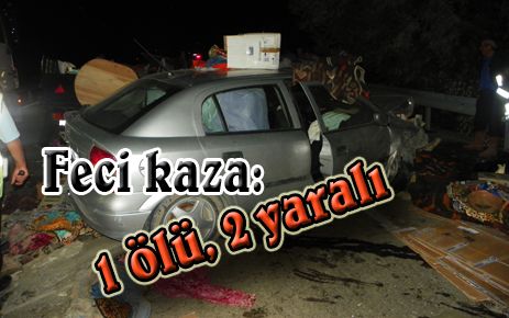  Feci kaza: 1 ölü 2 yaralı