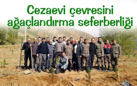 Fidanlar toprakla buluştu