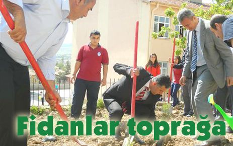 Fidanlar toprakla buluşuyor