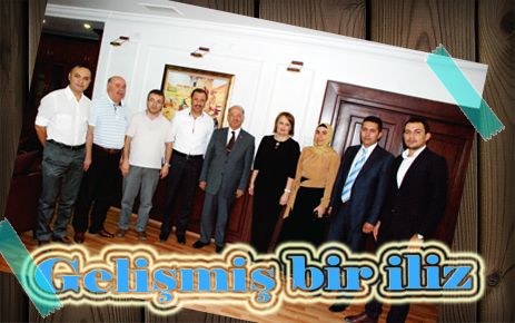 Gelişmiş bir iliz