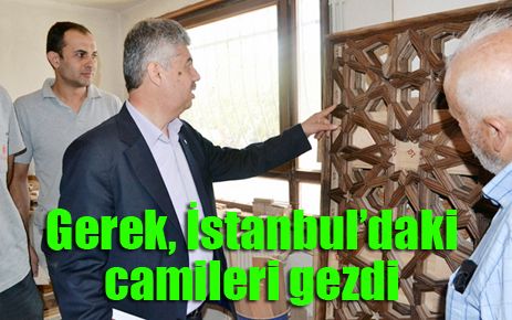 Gerek, İstanbul?u gezerek camileri inceledi 