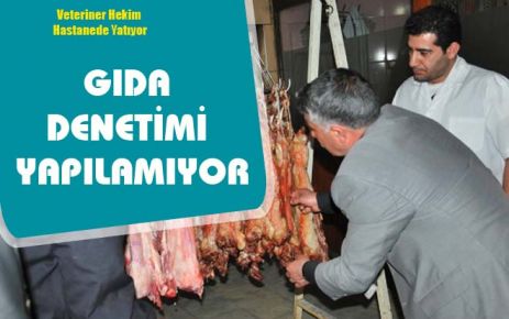 Gıda Denetimi Yapılamıyor