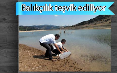 Göletlere 20 bin balık yavrusu bırakıldı