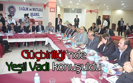 Güç birliğinde ?Yeşil Vadi? konuşuldu