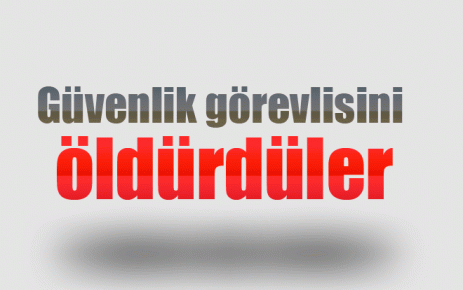 Güvenlik görevlisini öldürdüler