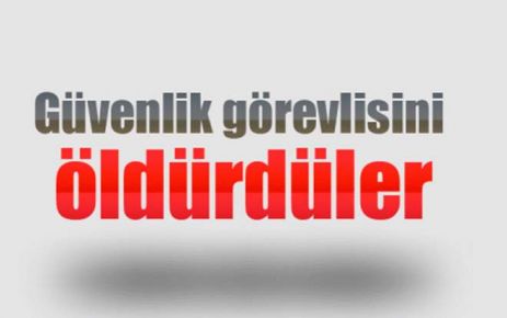 Güvenlik görevlisini öldürdüler