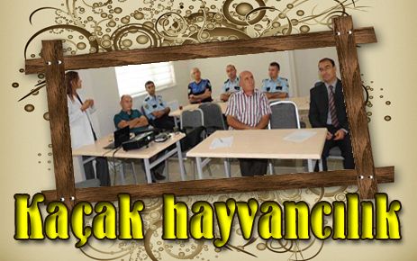 Güvenlik güçlerine kaçak hayvancılık semineri