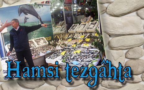 Hamsi tezgahlarda