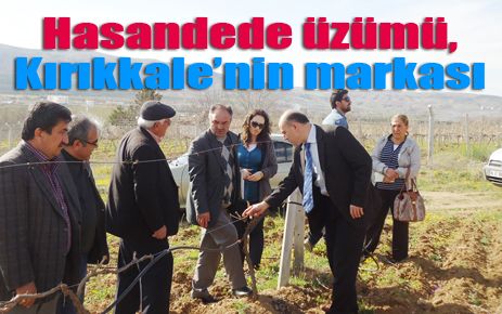 Hasandede Üzümü Kırıkkale?nin markası