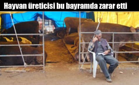 Hayvan üreticisi bu bayramda zarar etti