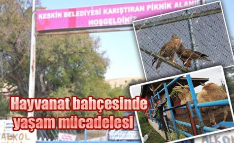 Hayvanat bahçesinde yaşam mücadelesi