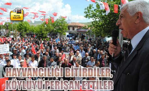HAYVANCILIĞI BİTİRDİLER, KÖYLÜYÜ PERİŞAN ETTİLER