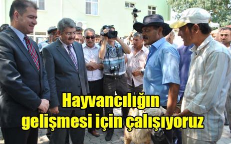 Hayvancılığın gelişmesi için çalışıyoruz