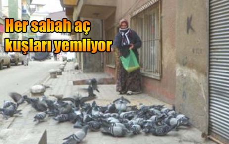 Her sabah aç kuşları yemliyor
