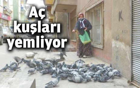 Her sabah kuşları yemliyor