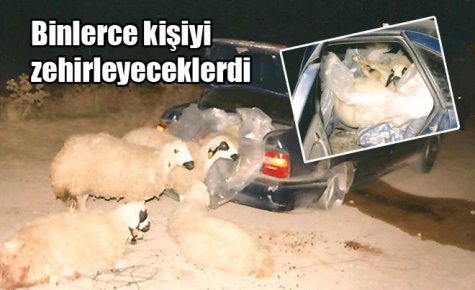 Hırsızlardan bayram hazırlığı