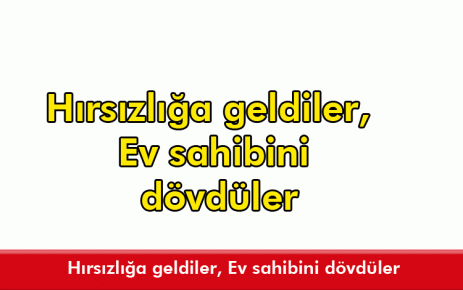 Hırsızlığa geldiler, Ev sahibini dövdüler