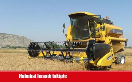 Hububat hasadı takipte