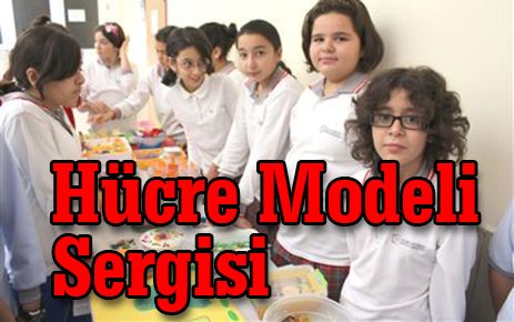 Hücre modeli sergisi açıldı