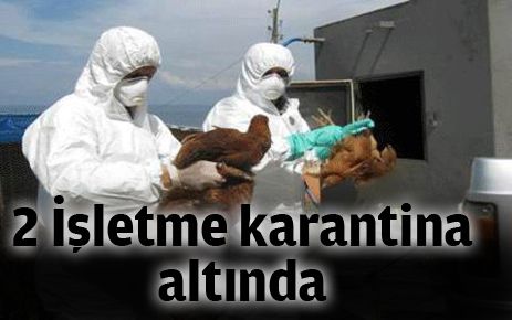 İki işletme karantina altına alındı