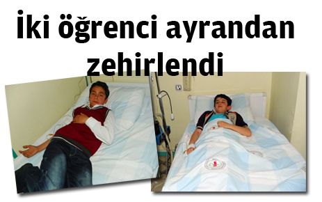 İki öğrenci ayrandan zehirlendi