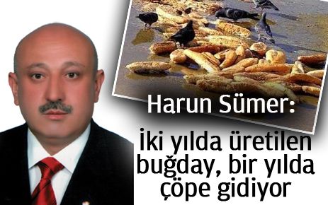 ?İki Yılda Üretilen Buğday, Bir Yılda Çöpe Gidiyor?