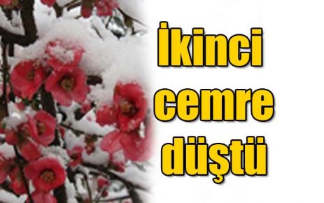 İkinci cemre suya düştü