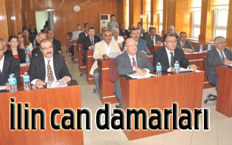İl Genel Meclisleri ilin can damarlarıdır