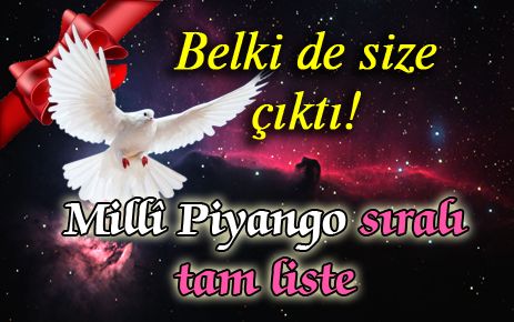 İşte 2013 Milli Piyango Yılbaşı Çekilişi