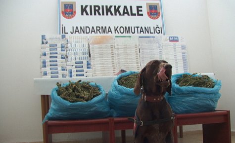 JANDARMADAN DUBLE OPERASYON